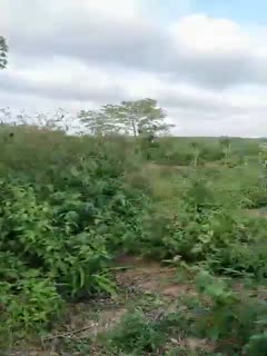 精品国产电影久久九九,久久久久久国产a免费观看福利,亚洲成aⅴ人片精品久久久久久