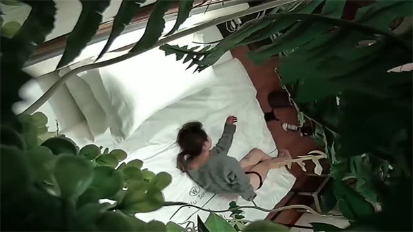 久久国产午夜理论片,99久久无码一区人妻a片竹菊,久久精品中文字幕大胸